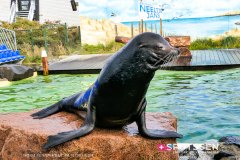 deltapark_191028__-50