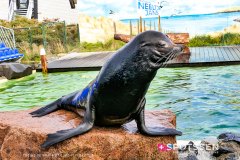 deltapark_191028__-51