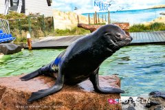 deltapark_191028__-52