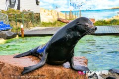 deltapark_191028__-53