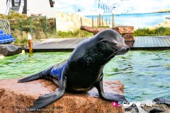 deltapark_191028__-54