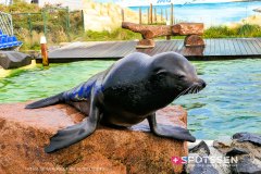 deltapark_191028__-55