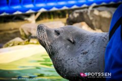 deltapark_191028__-59