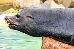 deltapark_191028__-63