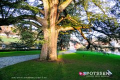 chaplin_vevey_191221__-66