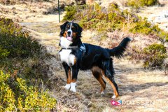 simplon_201121_-16