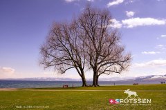 arbon_210408_-3