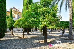 cordoue_210718_-101