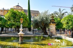 cordoue_210718_-104