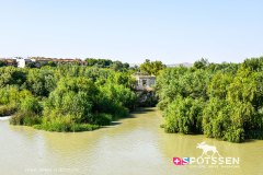 cordoue_210718_-154