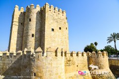 cordoue_210718_-158