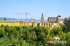 cordoue_210718_-165