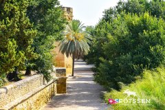 cordoue_210718_-171