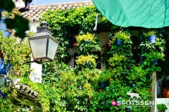 cordoue_210718_-178