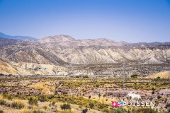 tabernas_210729_-105