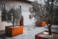 castellinainchianti_220303_-30