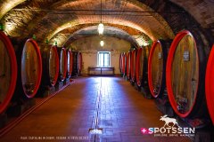 castellinainchianti_220303_-32