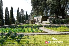 castellinainchianti_220303_-41