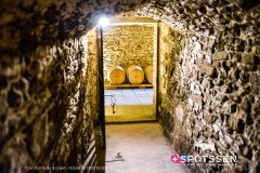 castellinainchianti_220303_-51