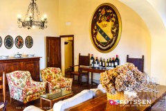 castellinainchianti_220303_-55