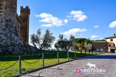 montalcino_220301_-23