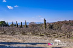 montalcino_220301_-28