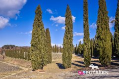 montalcino_220301_-29