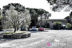 montalcino_220301_-30