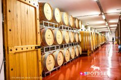 montalcino_220301_-41