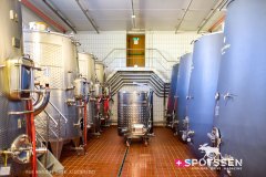 montalcino_220301_-43