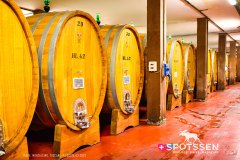 montalcino_220301_-44