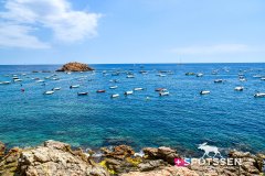 tossa_220730_-106