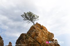 tossa_220730_-111
