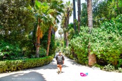 athenes_230713_-100