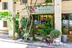 athenes_230713_-186