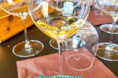 barolo_230728_-102