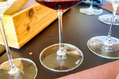 barolo_230728_-103