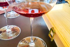 barolo_230728_-106