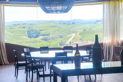 barolo_230728_-113