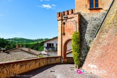 barolo_230728_-21