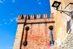 barolo_230728_-22