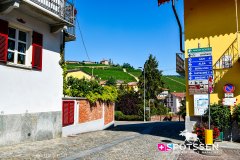 barolo_230728_-32