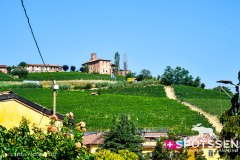 barolo_230728_-33
