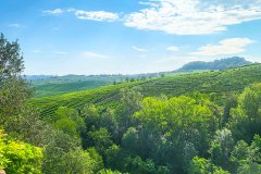 barolo_230728_-43