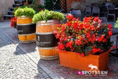 barolo_230728_-5