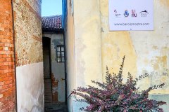 barolo_230728_-51