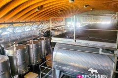 barolo_230728_-74