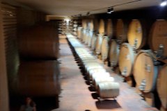 barolo_230728_-76