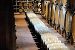 barolo_230728_-77