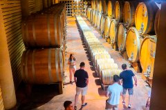 barolo_230728_-79